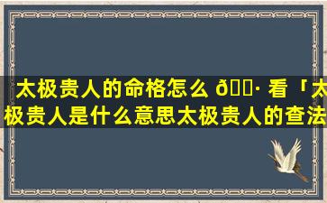 太极贵人的命格怎么 🌷 看「太极贵人是什么意思太极贵人的查法」